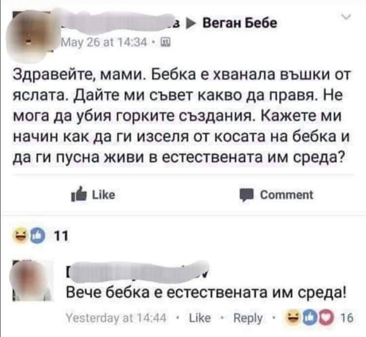 Бебка има въшки